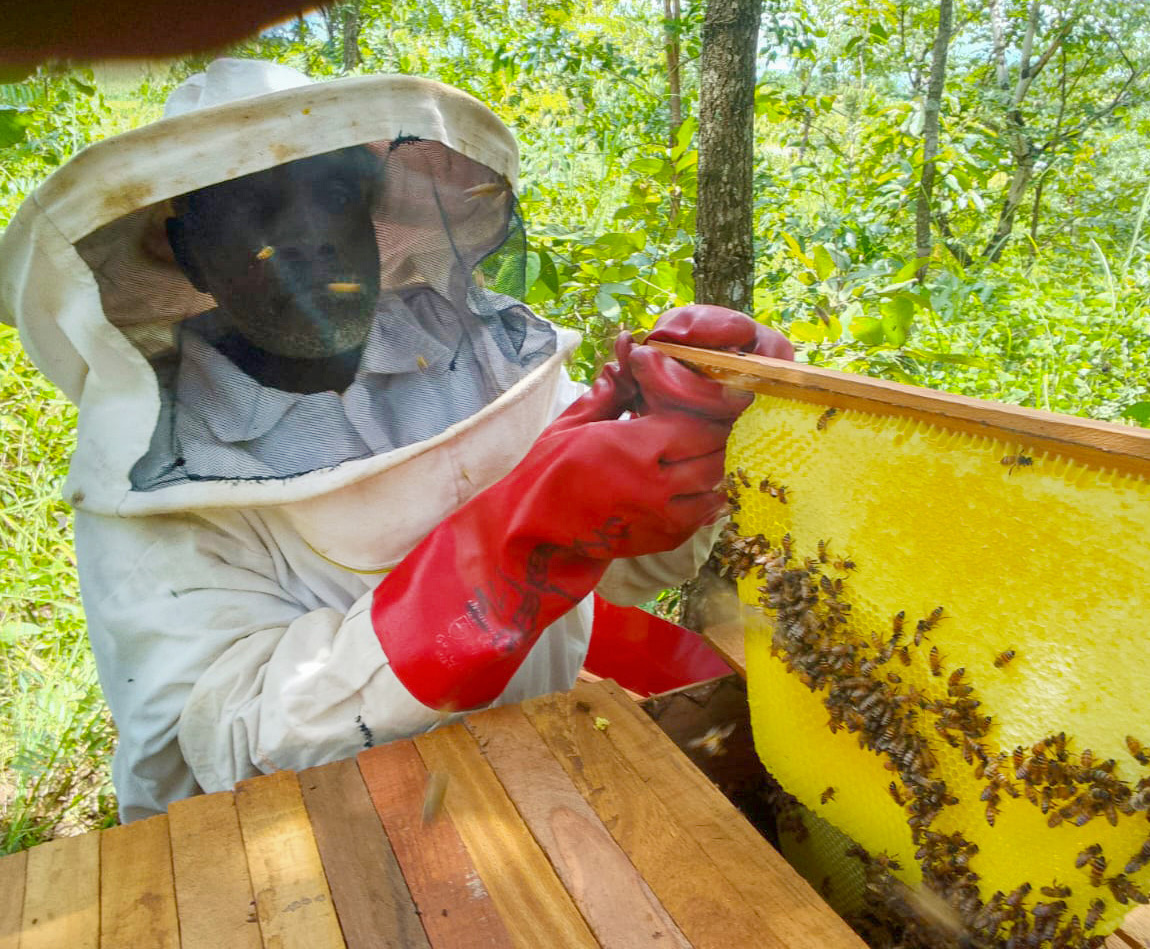 Beekeeper with bees